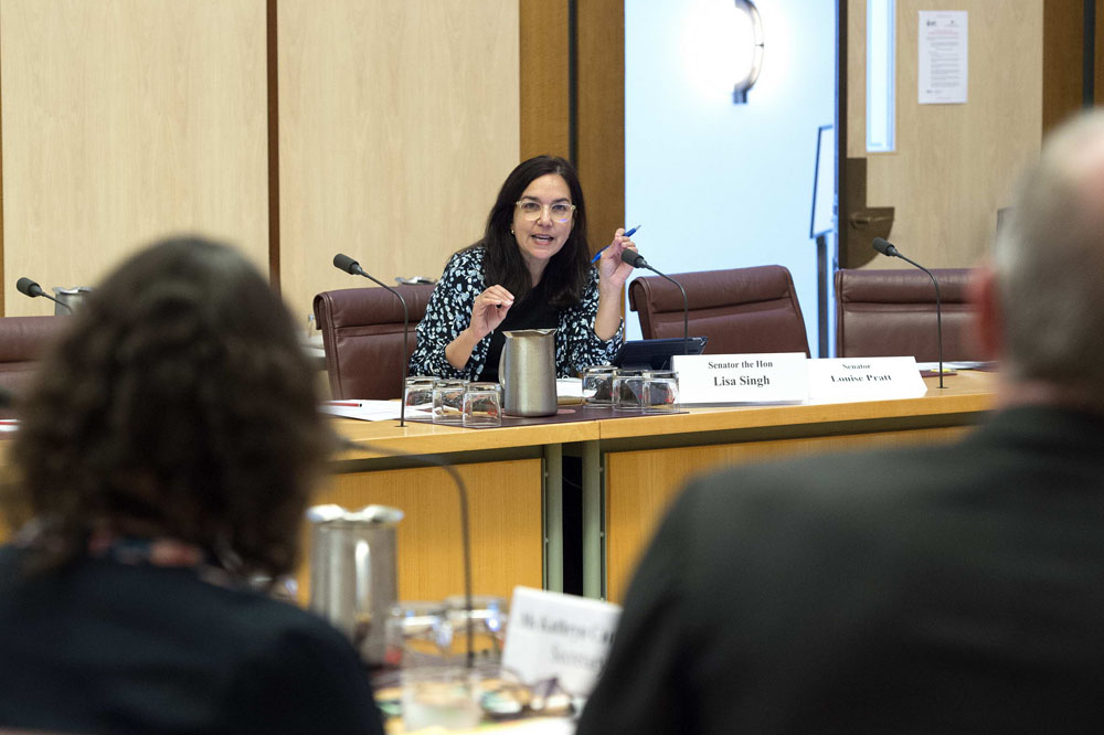 Community Affairs Legislation Committee member Senator Lisa Singh questioning witnesses, 25 October 2017. DPS Auspic.