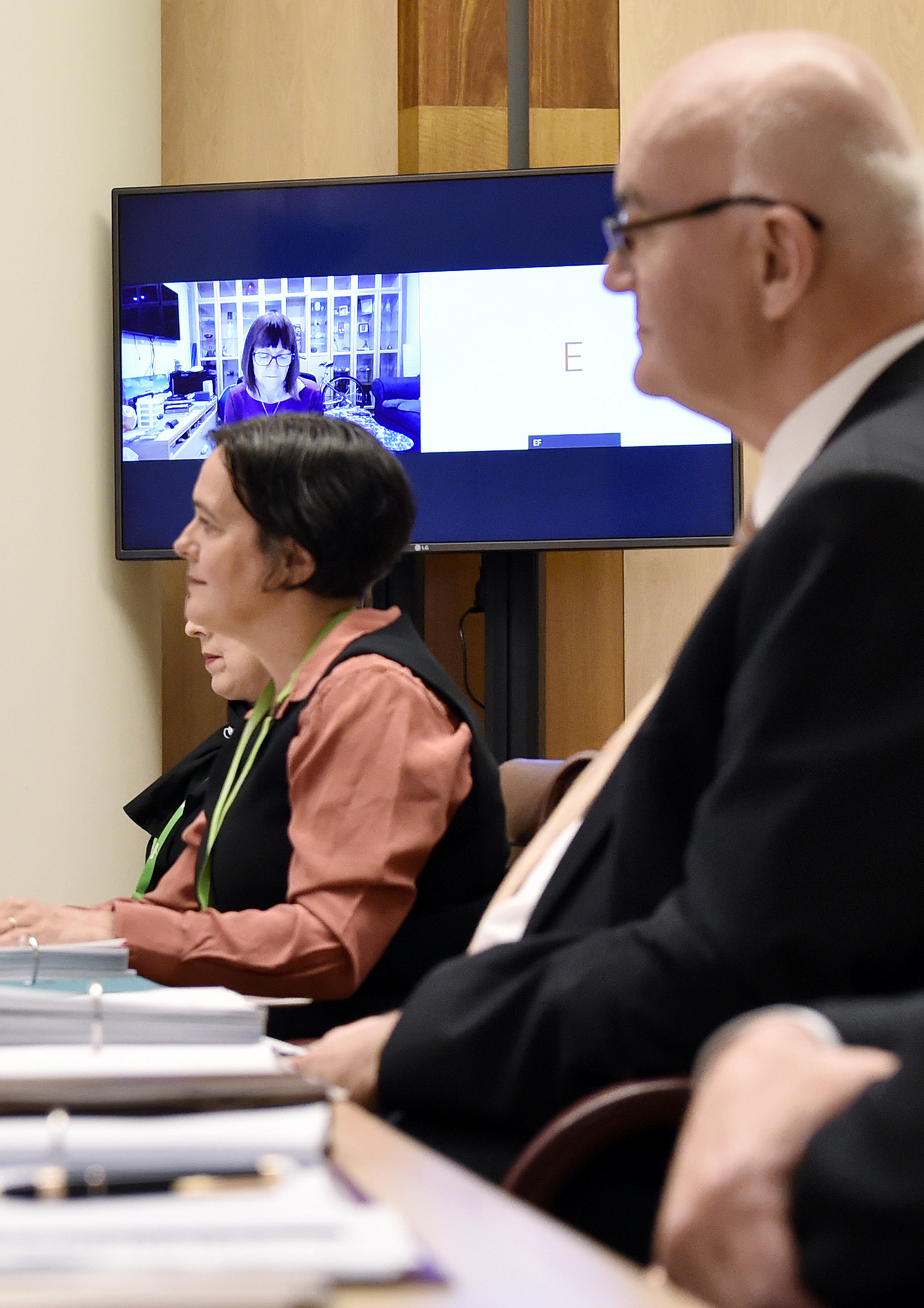 Participating committee member, Senator Rachel Siewert [via video] and officials from the Department of Health appearing before the Select Committee on Tobacco Harm Reduction, Parliament House, Canberra, 13 November 2020. DPS Auspic. 