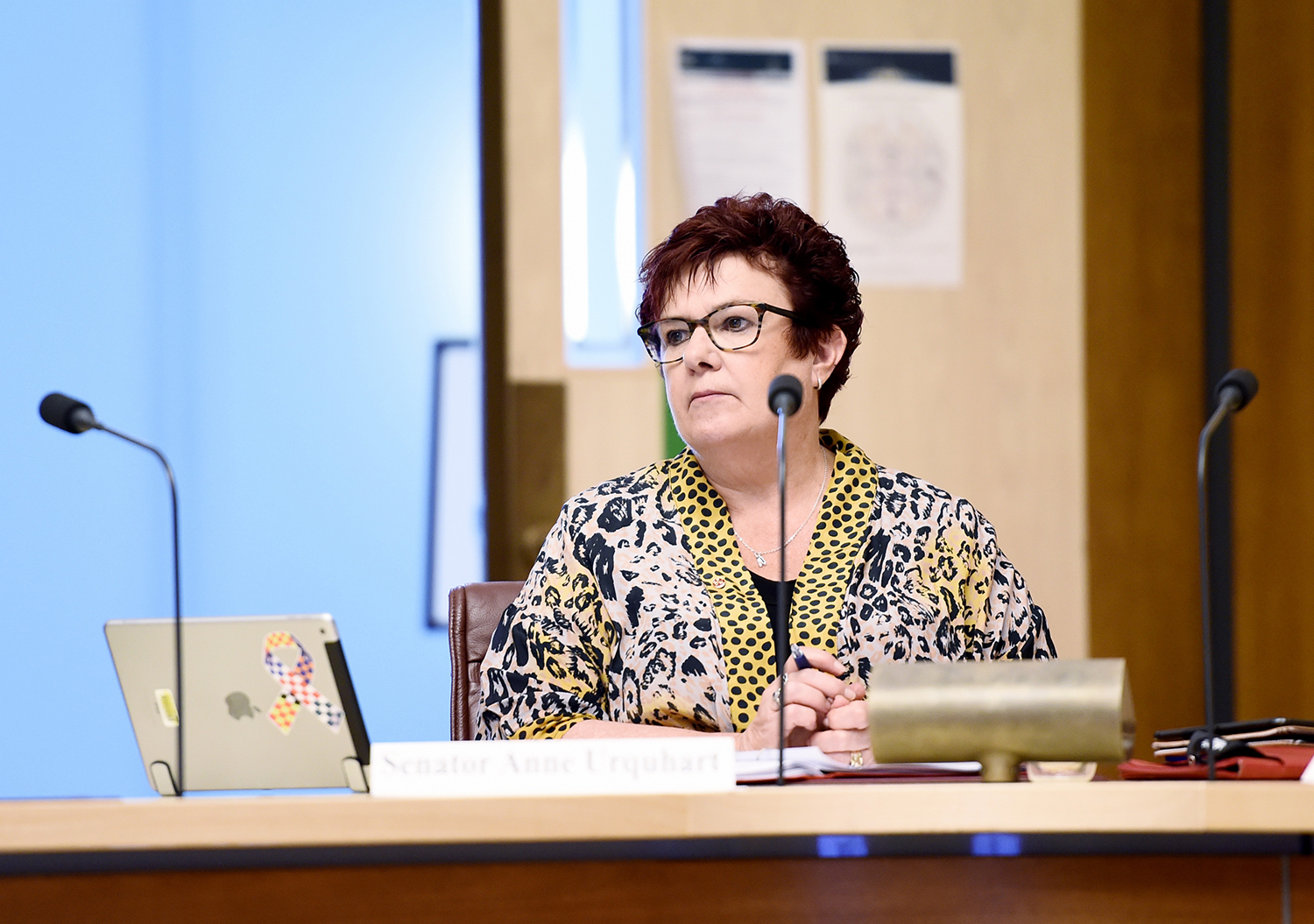 Senator Anne Urquhart at a hearing of the Select Committee on Tobacco Harm Reduction, Parliament House, Canberra, 13 November 2020. DPS Auspic. 