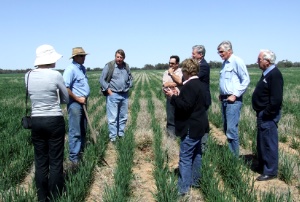 Standing committee system restructured