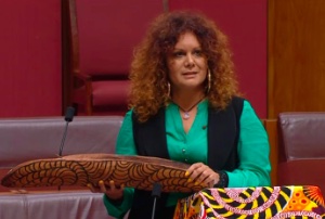 First Indigenous woman to chair a Senate committee