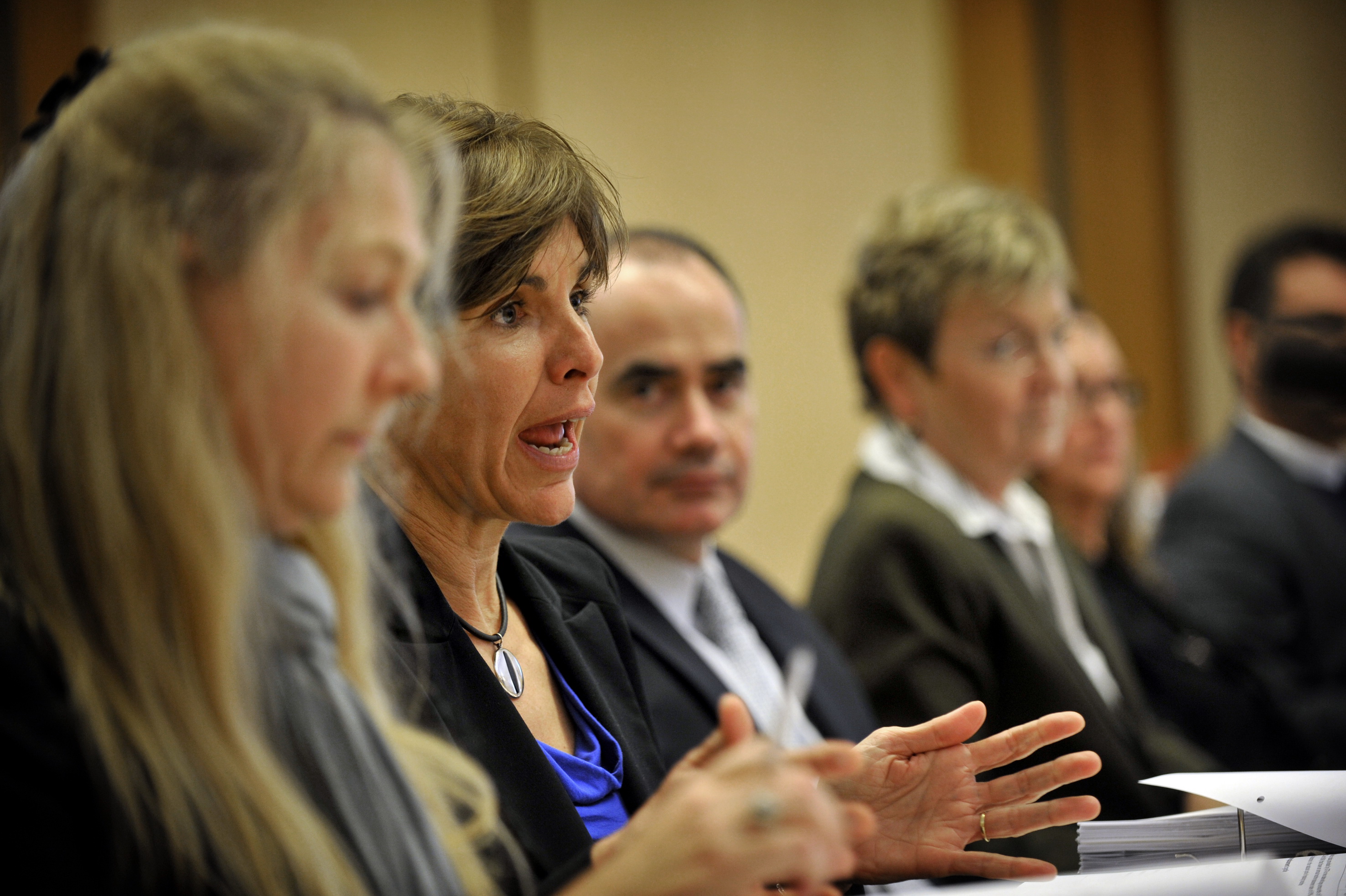 \x3cp\x3eLiza Carroll, Deputy Secretary at the Department of Families, Housing, Community Services and Indigenous Affairs (FaHCSIA), appearing before the Community Affairs Legislation Committee, 29 May 2012. DPS Auspic.\x3c/p\x3e