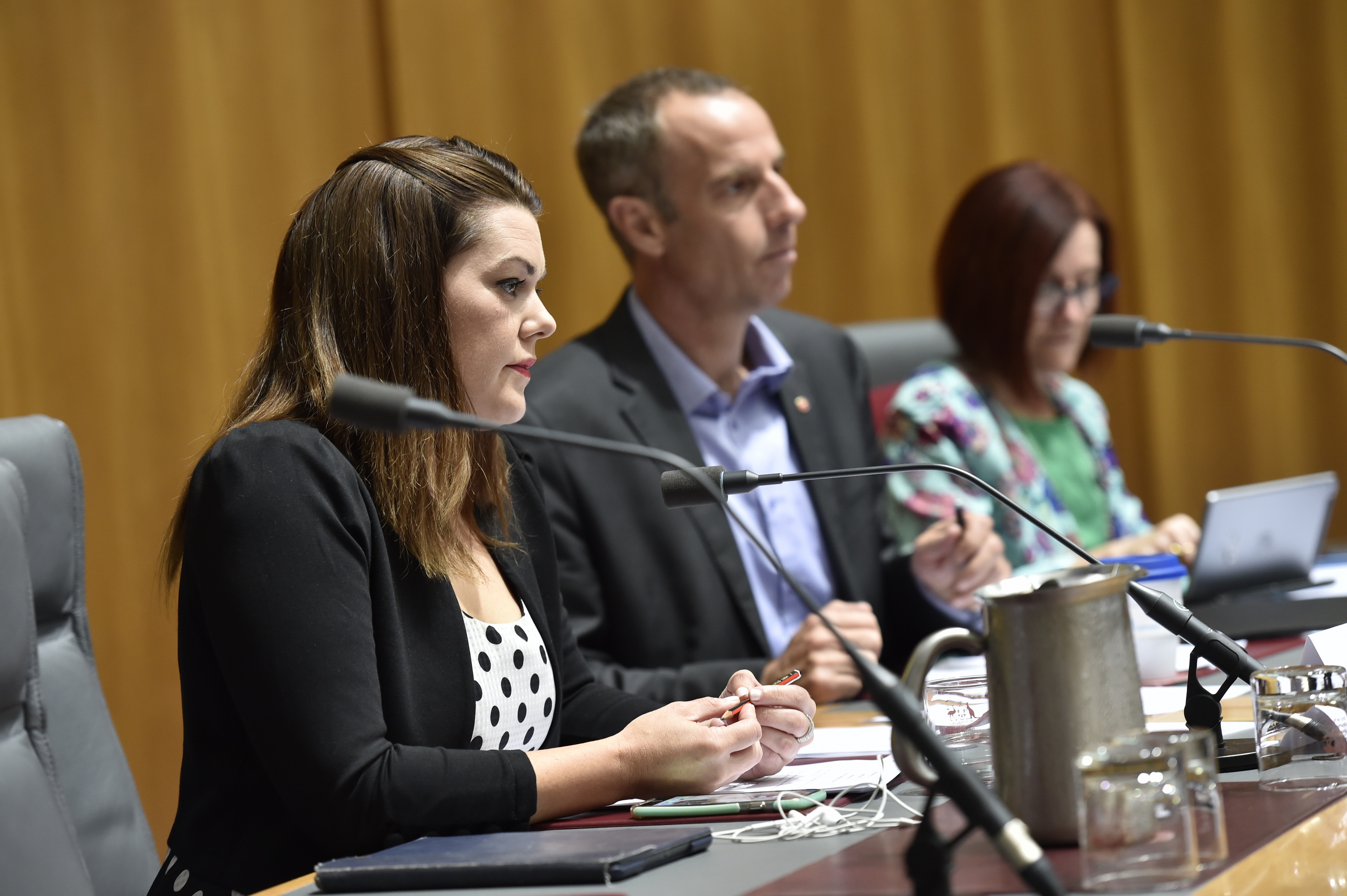 \x3cp\x3eMembers of the Senate Legal and Constitutional Affairs Legislation Committee  at an additional estimates hearing, 9 February 2016. L-R: Senators Sarah Hanson-Young, Nick McKim and Rachel Siewert. DPS Auspic.\x3c/p\x3e