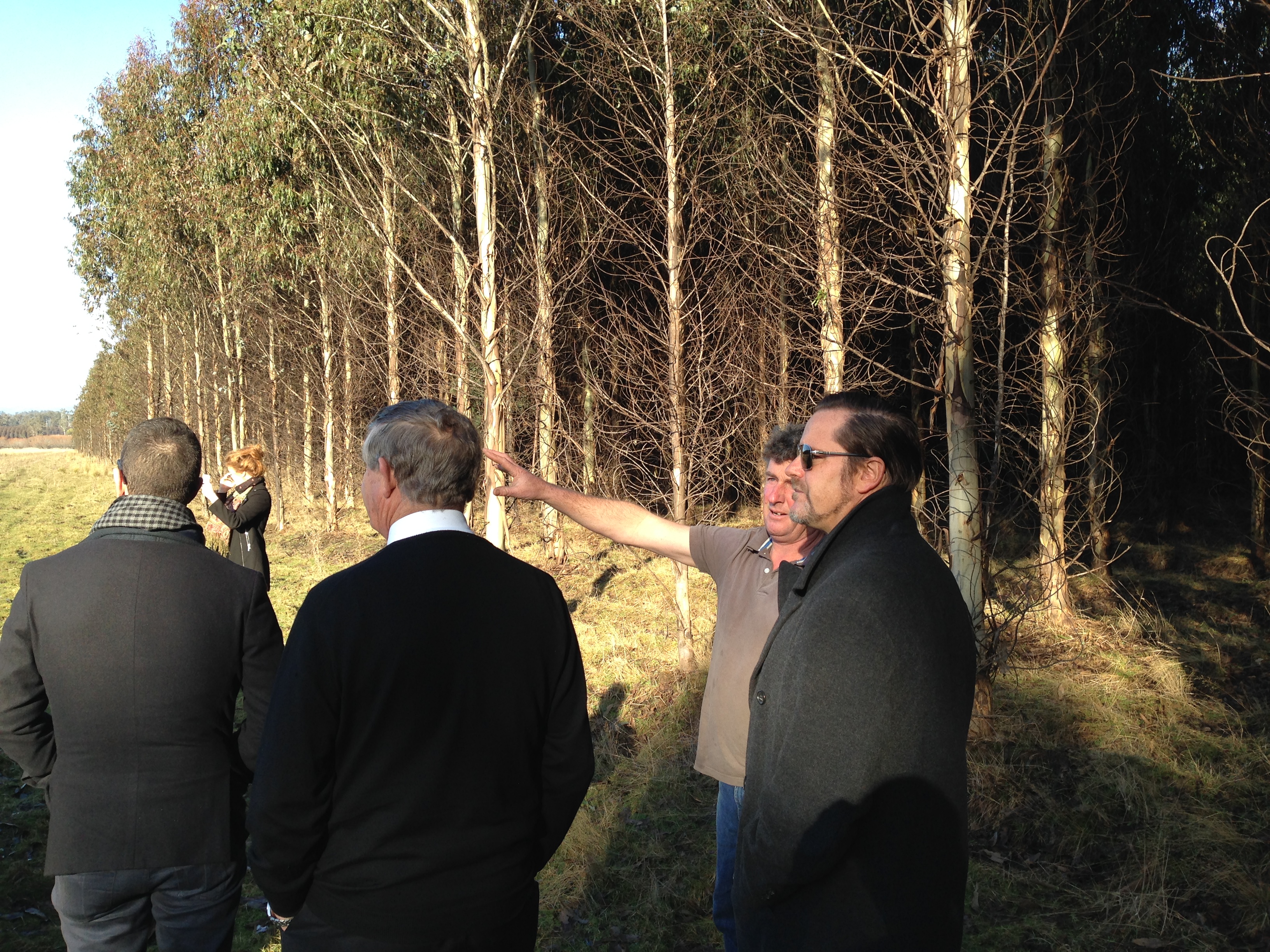 \x3cp\x3eThe committee visit to a plantation outside Launceston, Tas, 5 August 2015. \x3c/p\x3e
