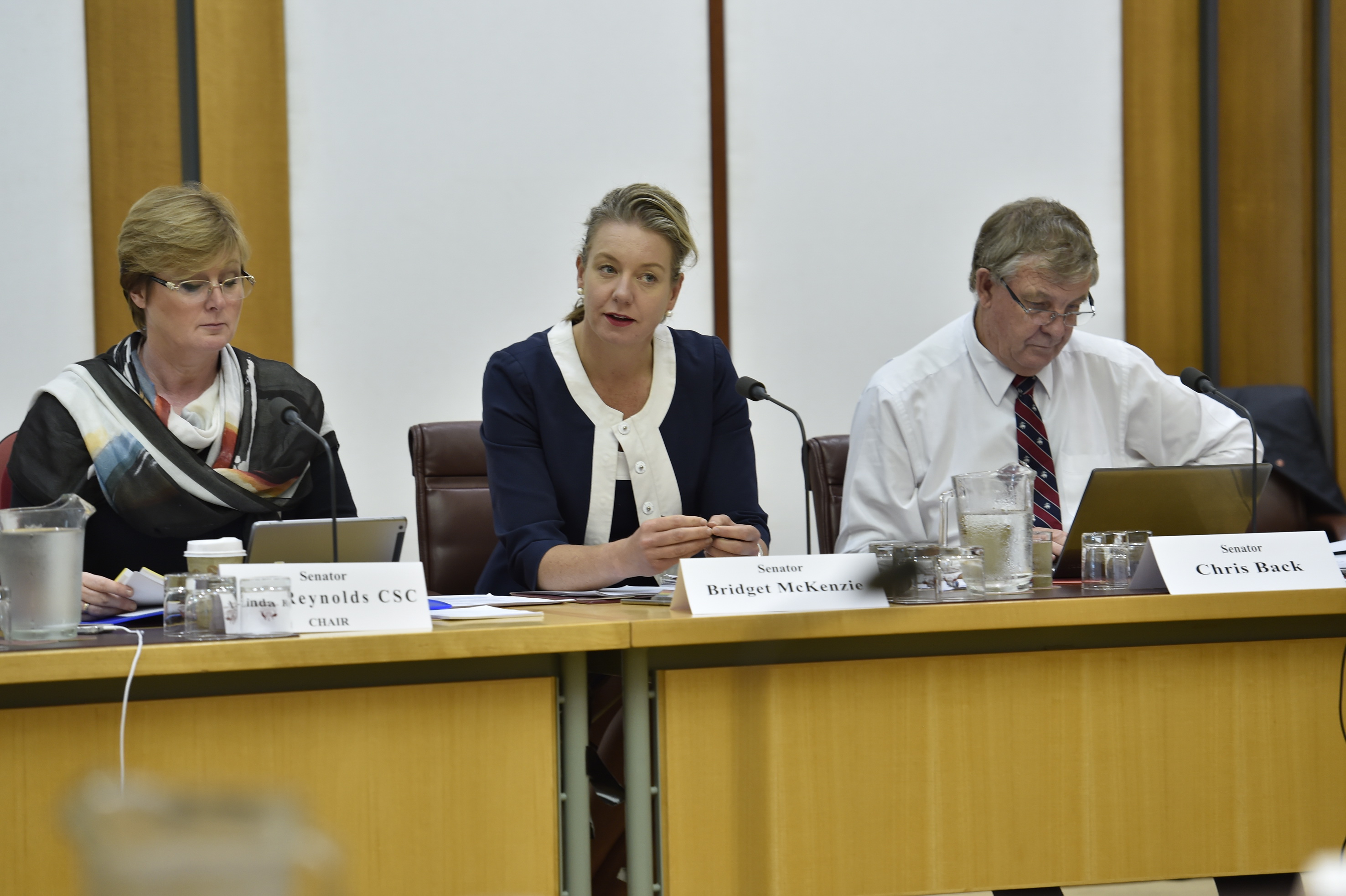 \x3cp\x3eEnvironment and Communications Legislation Committee member Senator Bridget McKenzie (centre) questioning witnesses, 9 February 2016. DPS Auspic.\x3c/p\x3e
