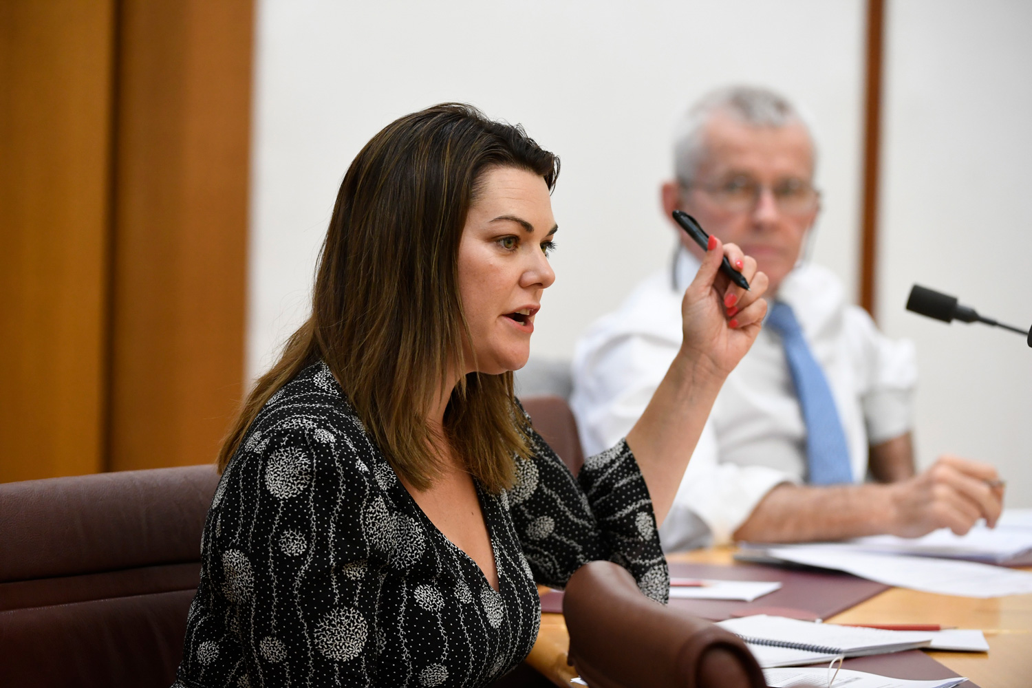Senator Sarah Hanson-Young at the Canberra hearing, 18 October 2019.