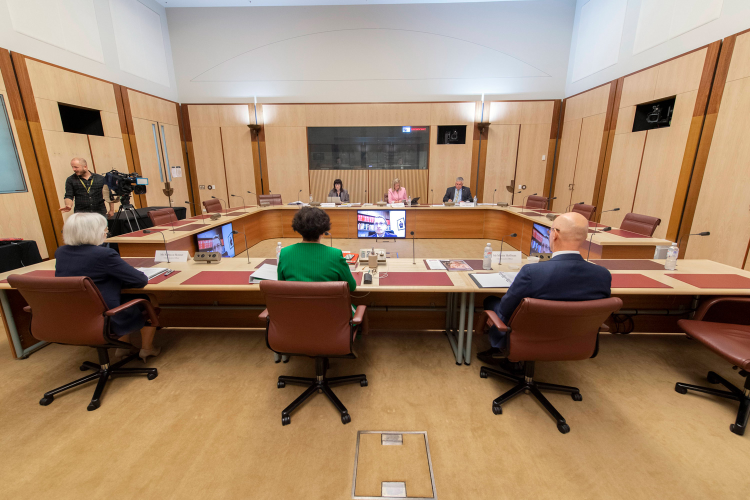 Select Committee on COVID-19 hearing, 30 April 2020. DPS Auspic.