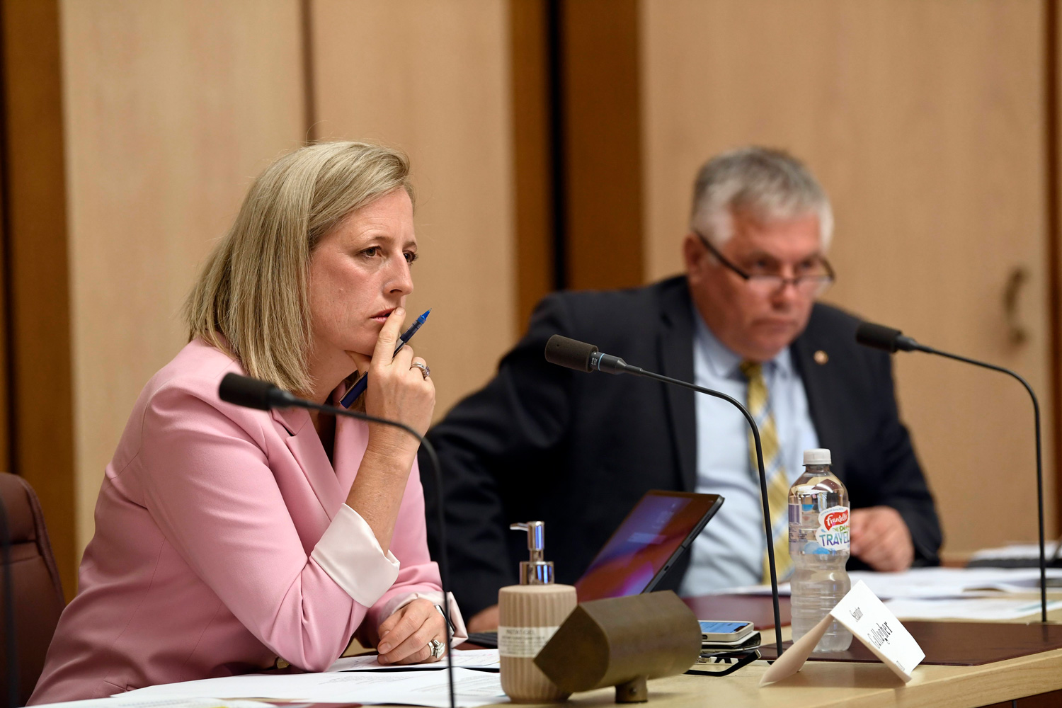 Senators Katy Gallagher [Chair] and Rex Patrick, 30 April 2020. DPS Auspic.